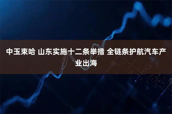 中玉束哈 山东实施十二条举措 全链条护航汽车产业出海