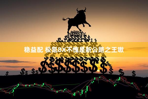 稳益配 极氪8X不愧是新公路之王嗷