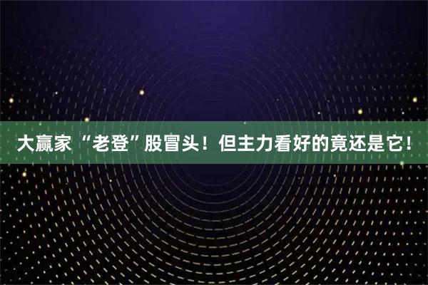 大赢家 “老登”股冒头！但主力看好的竟还是它！
