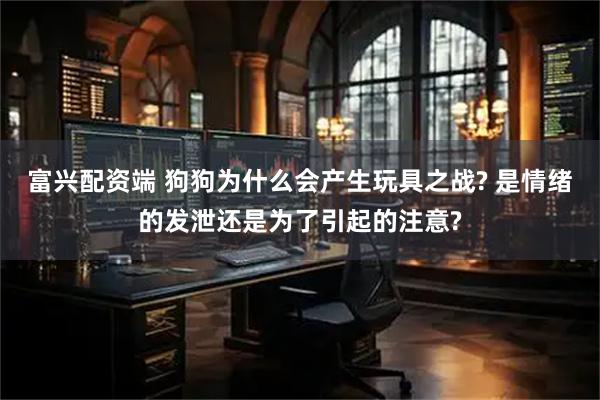 富兴配资端 狗狗为什么会产生玩具之战? 是情绪的发泄还是为了引起的注意?