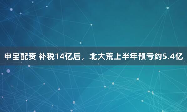 申宝配资 补税14亿后，北大荒上半年预亏约5.4亿