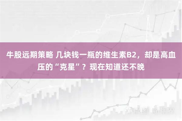 牛股远期策略 几块钱一瓶的维生素B2，却是高血压的“克星”？现在知道还不晚