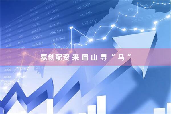 嘉创配资 来 眉 山 寻 “ 马 ”