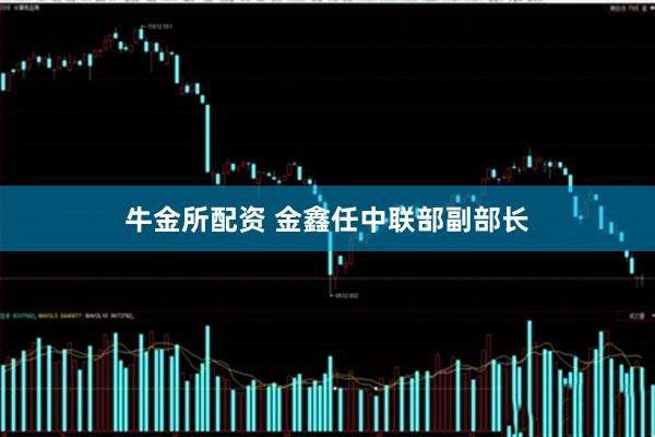 牛金所配资 金鑫任中联部副部长