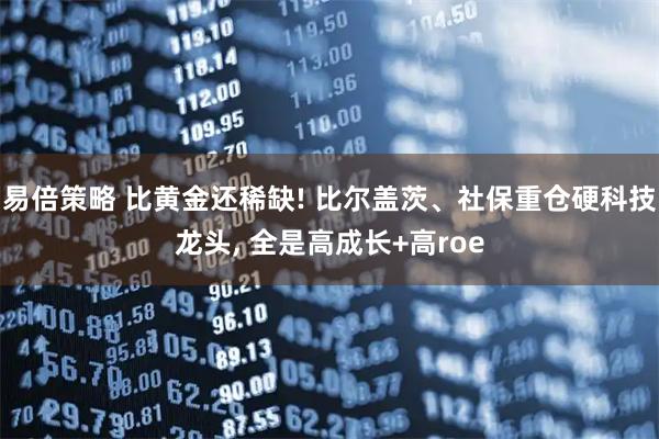 易倍策略 比黄金还稀缺! 比尔盖茨、社保重仓硬科技龙头, 全是高成长+高roe