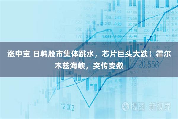 涨中宝 日韩股市集体跳水，芯片巨头大跌！霍尔木兹海峡，突传变数