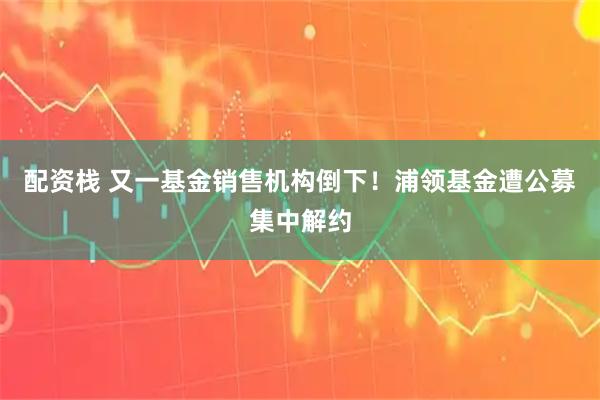 配资栈 又一基金销售机构倒下!浦领基金遭公募集中解约