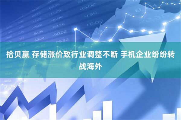拾贝赢 存储涨价致行业调整不断 手机企业纷纷转战海外