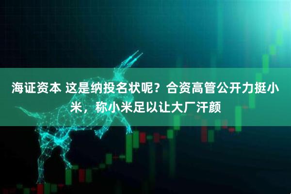海证资本 这是纳投名状呢?合资高管公开力挺小米,称小米足以让大厂汗颜