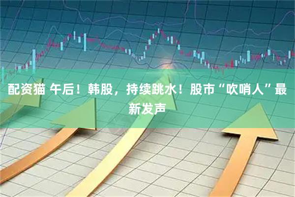 配资猫 午后！韩股，持续跳水！股市“吹哨人”最新发声